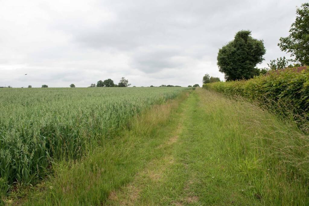 Immaculate Barn Annexe Close To Stansted Airport Great Dunmow Kültér fotó
