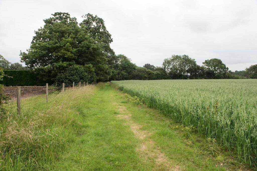 Immaculate Barn Annexe Close To Stansted Airport Great Dunmow Kültér fotó